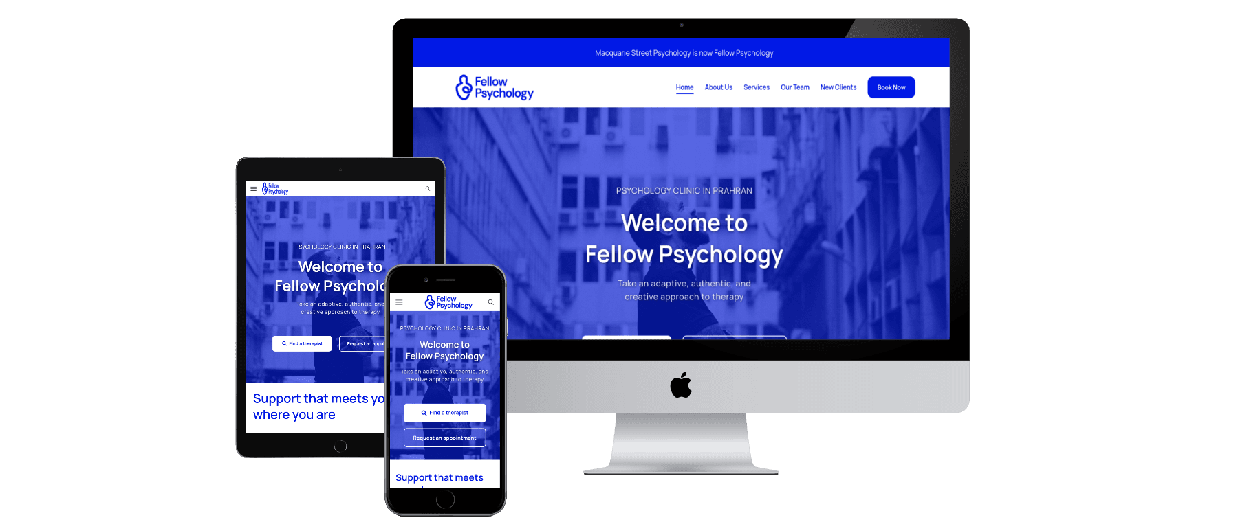 Fellow Psychology