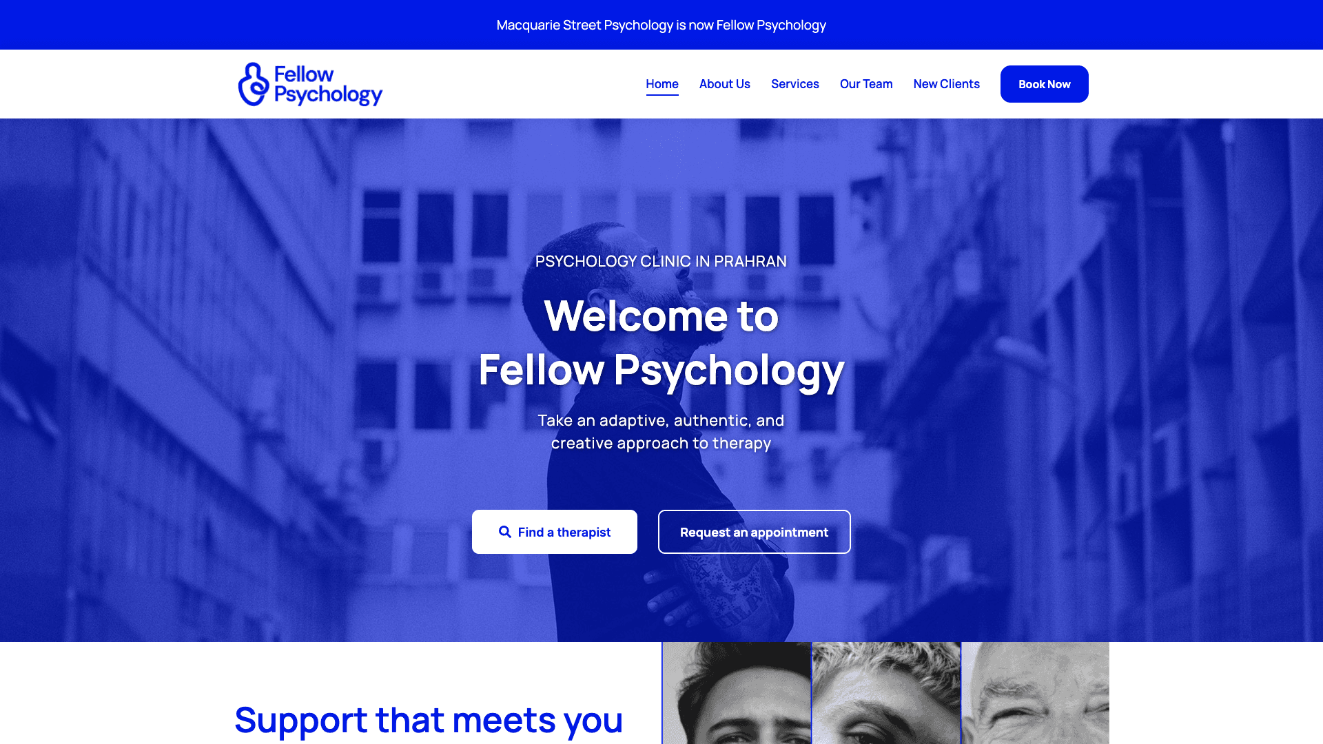Fellow Psychology